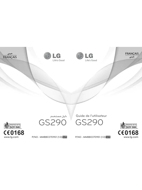 LG GS290.ACHNOR